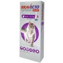 Бравекто Плюс для кошек весом 6.25 - 12.5кг капли на холку (1 пипетка)