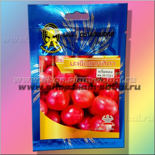 семена тайских помидор